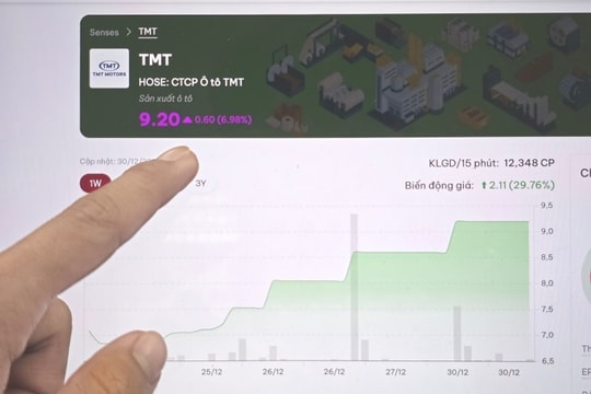 Người trong cuộc lý giải về "hiện tượng" cổ phiếu TMT