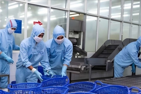 Xuất hiện doanh nghiệp xuất khẩu tôm vượt xa chỉ tiêu doanh số 2024