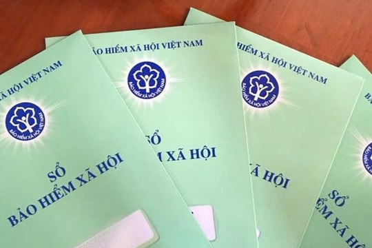 Cập nhật quy định mới nhất năm 2025 về Bảo hiểm xã hội và thất nghiệp