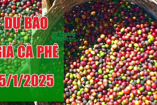 Dự báo giá cà phê ngày 5/1/2025: Tiếp tục tăng giá cuối tuần?