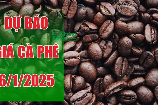 Dự báo giá cà phê ngày 6/1/2025: Xu hướng giảm liệu có kéo dài?