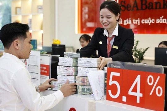 SeABank đặt mục tiêu nhuận trước thuế 6.500 tỷ đồng năm 2025, tín dụng tăng 15%