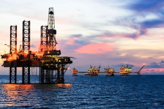 VinaCapital chỉ bán được phân nửa số cổ phiếu PVS đã đăng ký