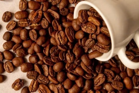 Giá cà phê hôm nay 8/1/2025: Tăng nhẹ, nhà đầu cơ thận trọng