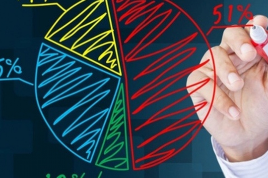 Thị phần môi giới trên UPCoM quý cuối năm 2024: Vietcap và SHS vươn lên mạnh mẽ