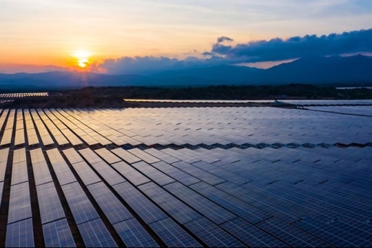 Một năm kinh doanh kém sắc của Điện mặt trời Trung Nam - Thuận Nam