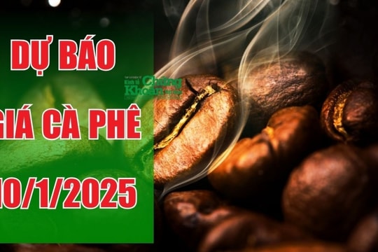Dự báo giá cà phê ngày 10/1/2025: Cơ hội đột phá đầu năm, đà tăng sẽ tiếp tục?