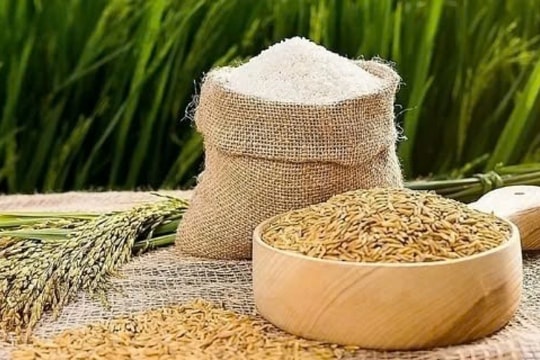 Giá lúa gạo hôm nay 10/1: Ổn định trở lại sau chuỗi ngày giảm giá