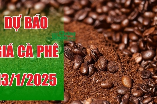 Dự báo giá cà phê ngày 13/1/2025: Liệu tuần mới có sắc xanh?