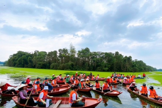 Mảnh rừng phác họa non sông