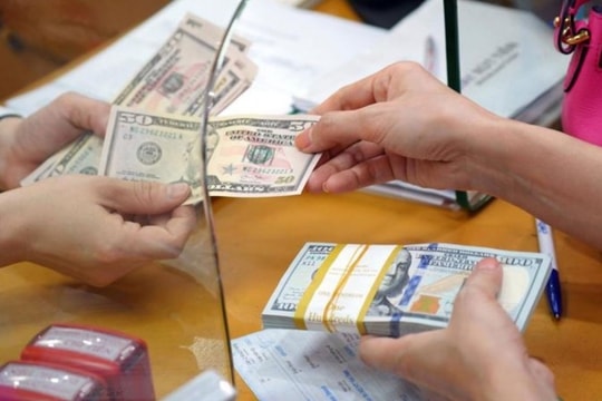 Tỷ giá VND/USD năm 2025: Áp lực tăng cao từ sự mạnh lên của đồng USD