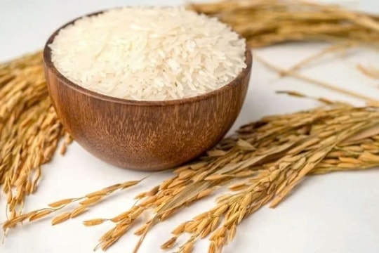 Giá lúa gạo hôm nay 13/1/2025: Giao dịch cầm chừng, giá lúa ổn định, gạo giảm nhẹ