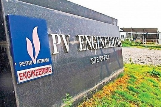 HĐQT PVE nhận trách nhiệm, xin lỗi cổ đông vì "không chỉ đạo được Tổng Giám đốc"