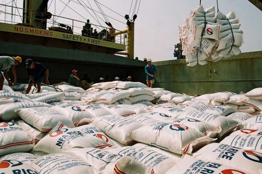 Giá gạo Việt Nam giảm sâu: Thách thức từ Ấn Độ và nguồn cung toàn cầu