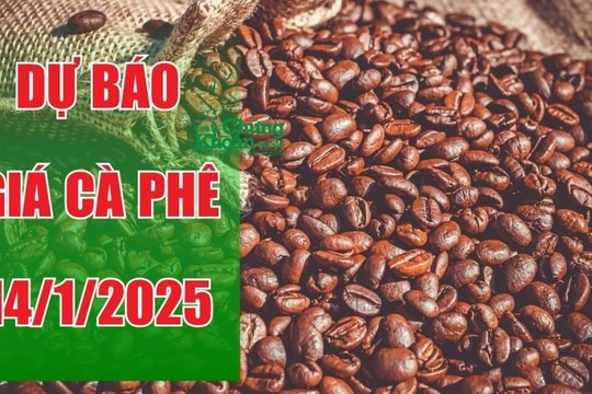 Dự báo giá cà phê ngày 14/1/2025: Liệu thị trường có phục hồi sau chuỗi ngày ổn định?