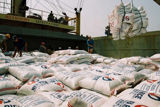 Giá gạo giảm mạnh, Việt Nam tìm cách đối phó với sức ép toàn cầu