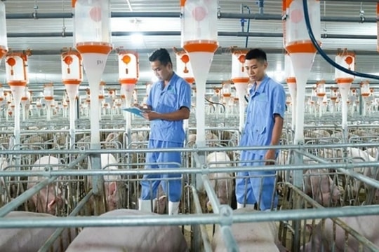 BaF Việt Nam nối dài mạch M&A với loạt thương vụ mới