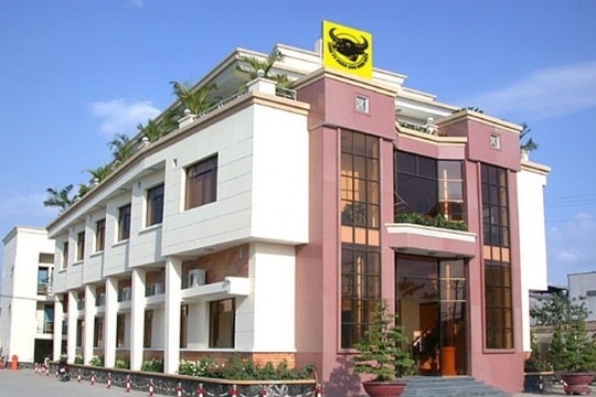 Phân bón Bình Điền (BFC) ước lãi tăng bằng lần trong năm 2024