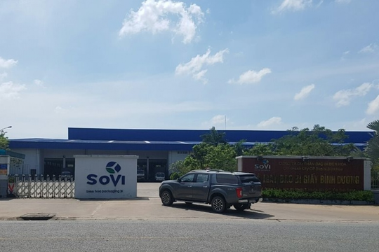 Trưởng Ban Kiểm soát SVI nộp đơn từ nhiệm ngay trước ĐHĐCĐ thường niên 2025