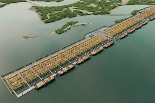 "Siêu cảng" Cần Giờ có diễn biến mới, cổ phiếu MVN lập tức phá đỉnh lịch sử