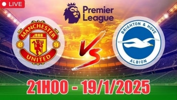 Nhận định Manchester United vs Brighton (21h00, 19/1) bóng đá Ngoại hạng Anh 2025: MU trở lại mặt đất