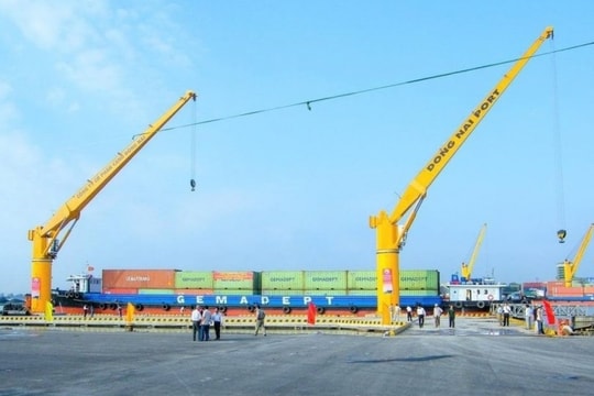 Cảng Đồng Nai nối dài mạch tăng trưởng, cổ phiếu vào nhóm đắt nhất thị trường