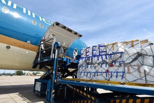 Dịch vụ hàng hóa Sài Gòn (SCS) lập kỷ lục lợi nhuận trong năm 2024