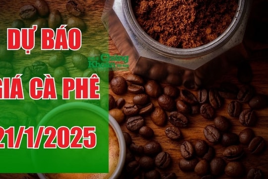 Dự báo giá cà phê ngày 21/1/2025: Xu hướng tăng tiếp tục