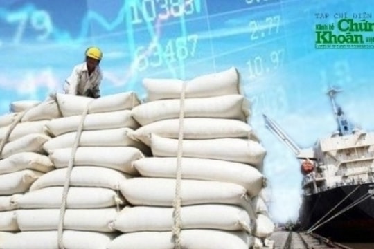 Áp lực nợ vay lớn, Angimex (AGM) vào cảnh "chị Dậu bán con"