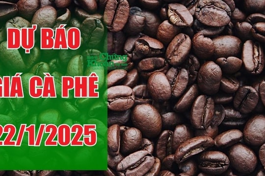 Dự báo giá cà phê ngày 22/1/2025: Sự hồi phục liệu có khả thi sau chuỗi ngày giảm giá?