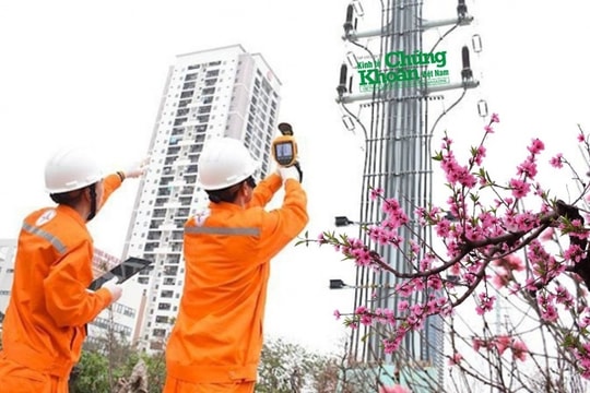 Đảm bảo cung cấp điện an toàn, ổn định phục vụ nhân dân và đất nước đón Tết Nguyên đán Ất Tỵ 2025