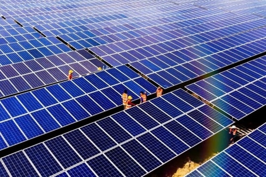 Bamboo Capital: Doanh thu năm 2024 đạt 4.371,9 tỷ đồng, lợi nhuận sau thuế tăng gấp 5 lần