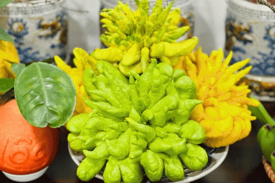 Hút lộc "thần tốc" với 3 cây cảnh trang trí Tết Ất Tỵ 2025 không thể thiếu