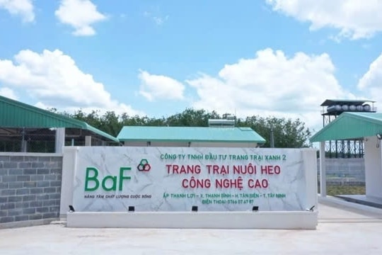 Đẩy mạnh hoạt động M&A, dòng tiền kinh doah của BaF Việt Nam vẫn đang "khó"