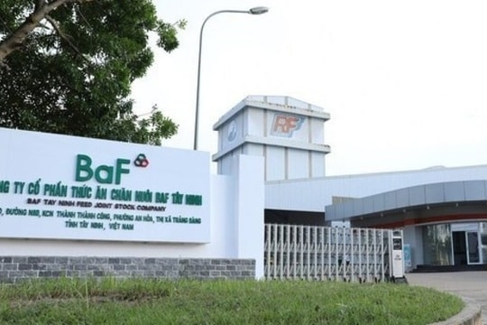 BAF Việt Nam được chấp thuận chào bán 65 triệu cổ phiếu riêng lẻ, huy động hơn 1.000 tỷ đồng