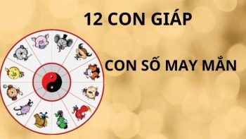 Con số may mắn của 12 con giáp ngày 5/2/2025: Đón lộc đầu năm, tiền bạc đầy nhà!