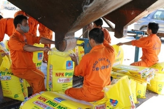 PCE vượt 13% kế hoạch lợi nhuận năm 2024 dù doanh thu giảm nhẹ