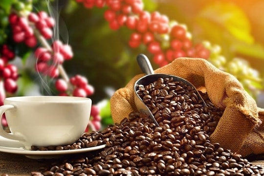 Dự báo giá cà phê ngày 5/2/2025: Tiếp tục phá đỉnh?