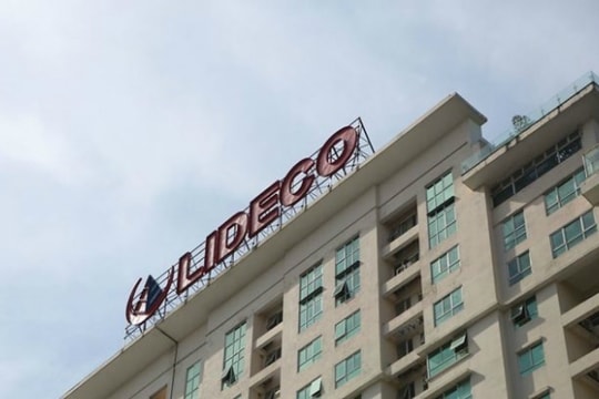 Gặp khó quý cuối năm, Lideco (NTL) vẫn lãi kỷ lục năm 2024 nhờ dự án này