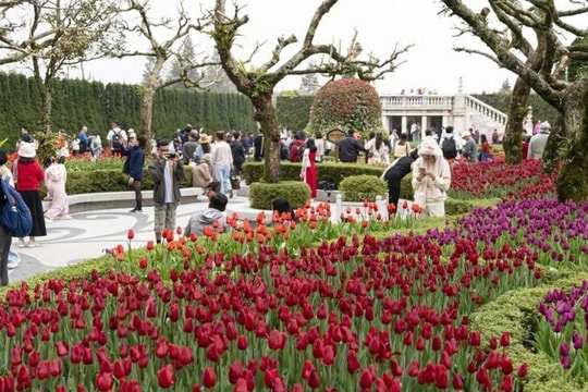 Những điểm đến tạo ấn tượng đặc biệt sau Tết Ất Tỵ