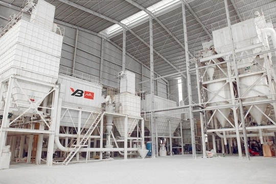 Khoáng sản Công nghiệp Yên Bái (YBM) nhận án phạt từ cơ quan thuế, có tình tiết tăng nặng