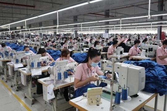 Rời HOSE, Garmex Sài Gòn (GMC) được định ngày lên UPCoM