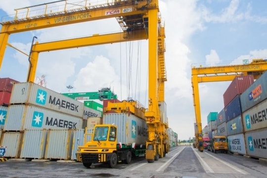 Đột phá lợi nhuận 2024, Viconship (VSC) chuẩn bị phát hành cổ phiếu ESOP để giữ chân nhân tài