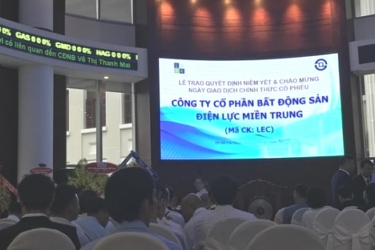 Bất động sản Điện lực Miền Trung (LEC) có nguy cơ bị hủy niêm yết trên HOSE