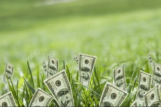 Loạt doanh nghiệp sàn HoSE sắp chốt quyền trả cổ tức bằng tiền mặt: DVP, TDM, REE