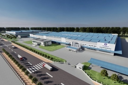 Nhà máy sữa 4.600 tỷ đồng của Vinamilk dự kiến khởi công trong quý II/2025