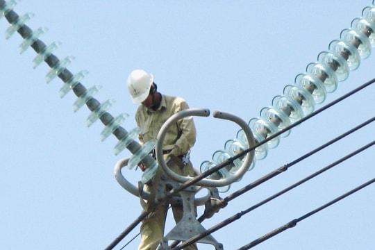 Cổ phiếu VNE đối diện nguy cơ hủy niêm yết do chậm công bố báo cáo tài chính