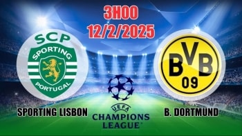 Nhận định C1 Sporting Lisbon vs Borussia Dortmund (3h00, 12/2) bóng đá Champions League 2025: Dortmund thắng kịch tính