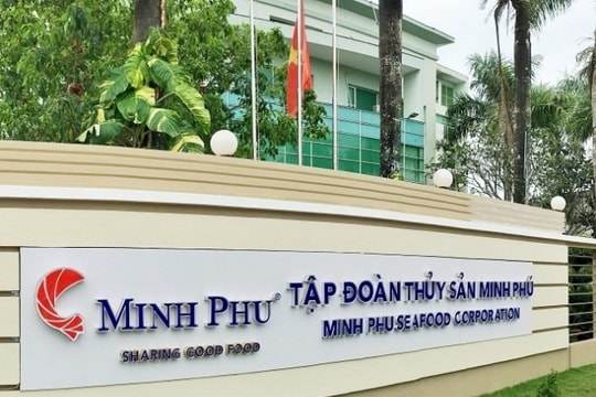 Bứt phá doanh thu cũng không giúp 'Vua tôm' Minh Phú (MPC) thoát lỗ