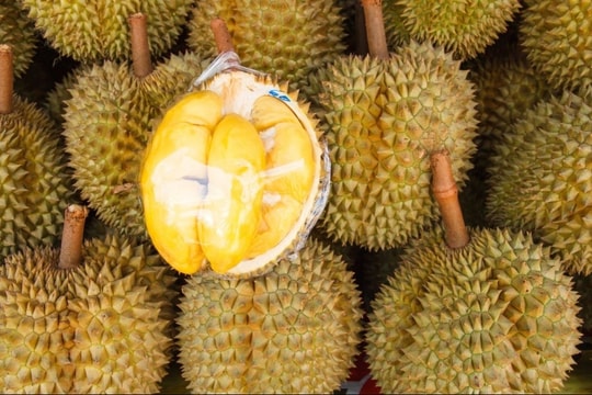 Giá sầu riêng hôm nay 12/2/2025: Thái A giảm sâu, thị trường gặp khó do kiểm soát chặt từ Trung Quốc